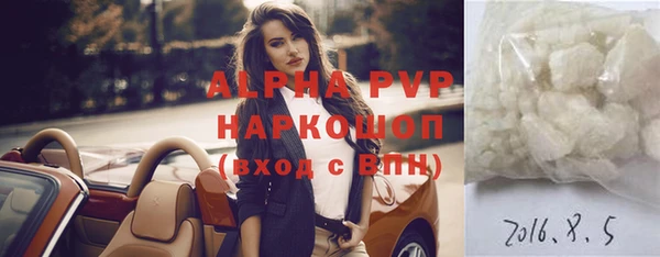 Альфа ПВП Бородино