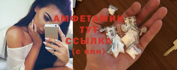сатива Бронницы