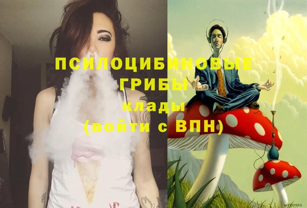 мяу мяу мука Вяземский