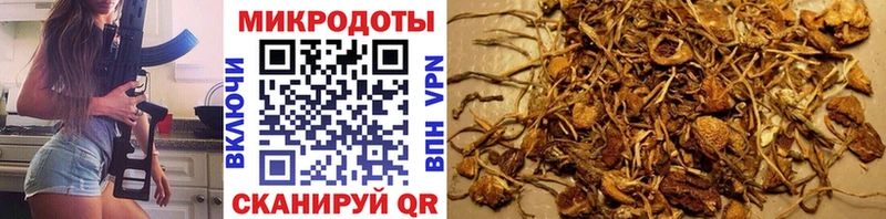 OMG маркетплейс  Дюртюли  Галлюциногенные грибы Magic Shrooms 